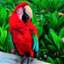 So Tx Botanical Gdns (@gdnsso) Twitter profile photo So Tx Botanical Gdns (@gdnsso) Twitter profile photo