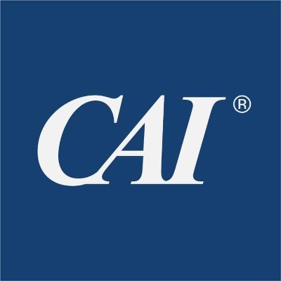 CAI_Insights Profile Picture