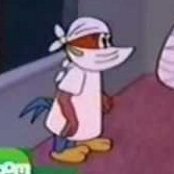 xarapatel's profile picture. 