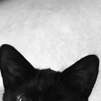 🐾miraculous smau account🐾
(pls help me find finished comics, ao3 or smau so that I can make a thread)