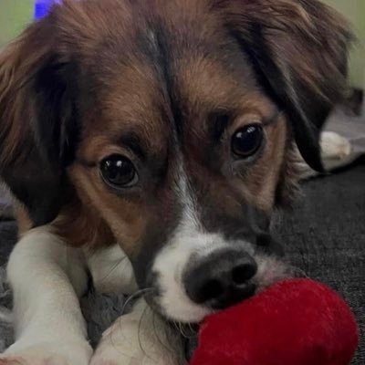 NowiS0608's profile picture. 