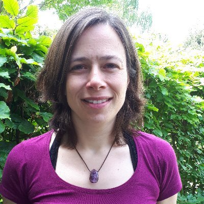 Leerkracht ondersteuner, Vrijeschool de Zwaneridder Wageningen.