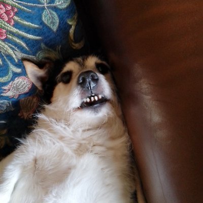 Jolly1James's profile picture. 