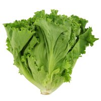 Ραδιενεργό Μαρούλι (@radioactlettuce) 's Twitter Profile Photo Ραδιενεργό Μαρούλι (@radioactlettuce) 's Twitter Profile Photo
