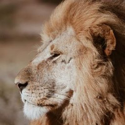 VamsiPasal69427's profile picture. 