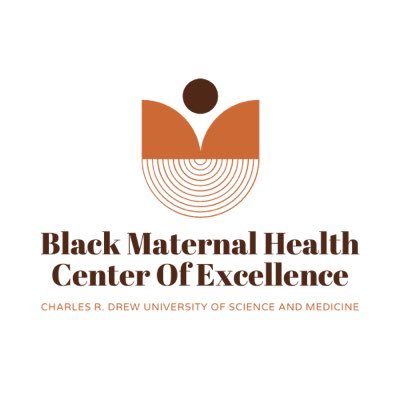 Addressing health inequities around maternal and infant well-being – especially those impacting Black mothers, infants, and families.