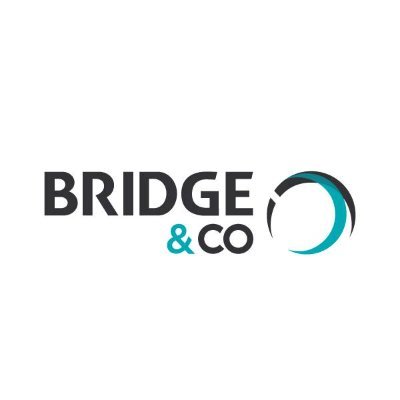Bridge_Tweets Profile Picture