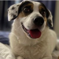 Badiko (@badiko_) 's Twitter Profile Photo Badiko (@badiko_) 's Twitter Profile Photo