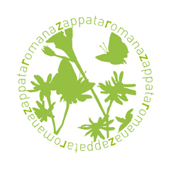 Zappata Romana is a project by studioUAP which promotes shared gardens in Rome as a collective action for urban public space appropriation