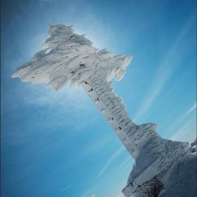 schonelandmine2's profile picture. I love God, my family & my country❤️✝️👨‍👩‍👦🐕🐕🇺🇸