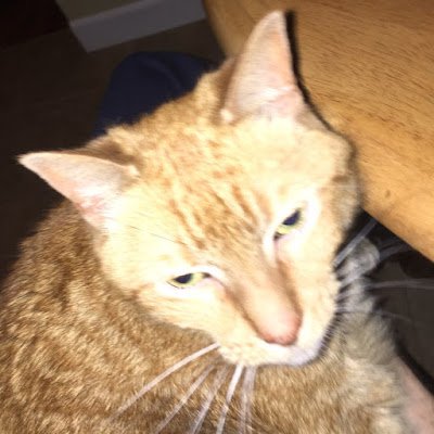 JimmyWhist30197's profile picture. 