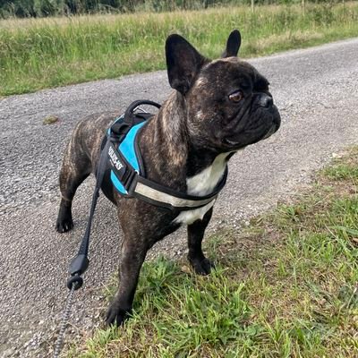 Kevinmary4's profile picture. Aide soignant ✌️