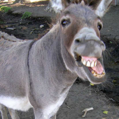 ColSausage65's profile picture. 