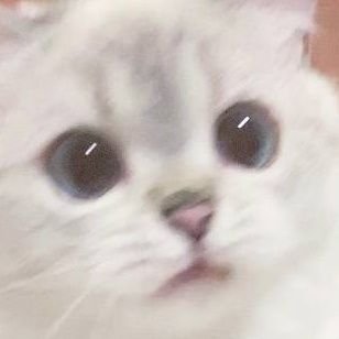 ᵖᵃʳᵘᵐ ˢᵉᵖᵗᵉᵐさんのプロフィール画像