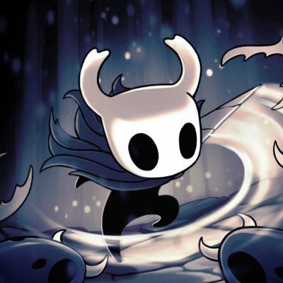 Gamer 🎮 #Gamer #HollowKnight A simple guy | Game enthusiast ✨