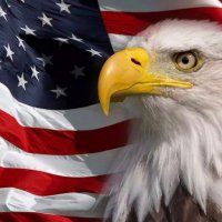 America (@27acresdeerbeer) 's Twitter Profile Photo America (@27acresdeerbeer) 's Twitter Profile Photo