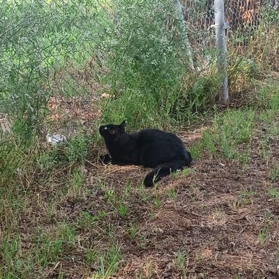 sandrav25779582's profile picture. TRUMP!!!!!