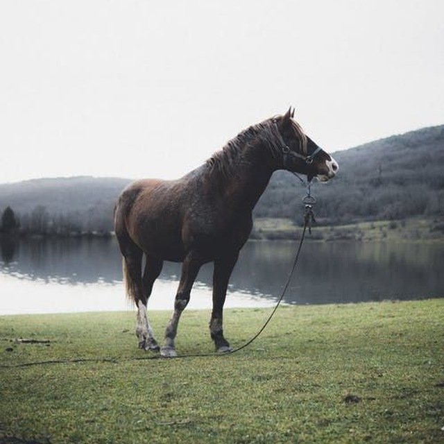 NickolasMe507's profile picture. 