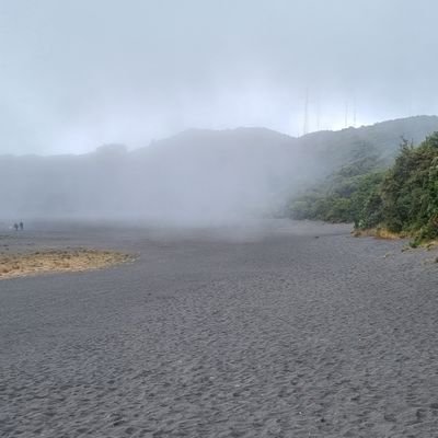 Rivesca1's profile picture. 