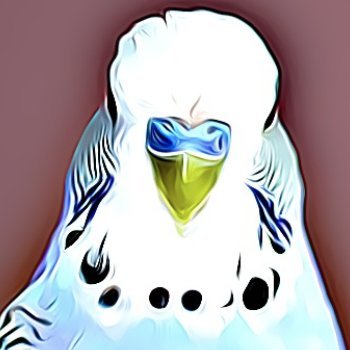 PE__Bird Profile Picture