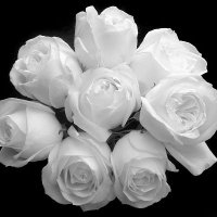 لا اله الا الله (@aalbyda31278) 's Twitter Profile Photo