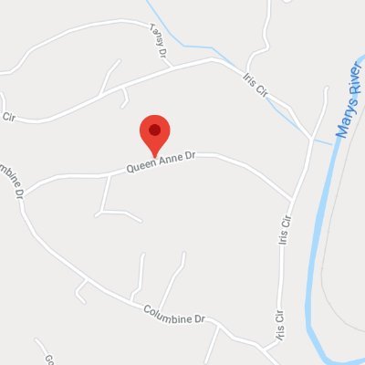 Emily_Carrot's profile picture. 