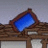 sanarykyk's profile image