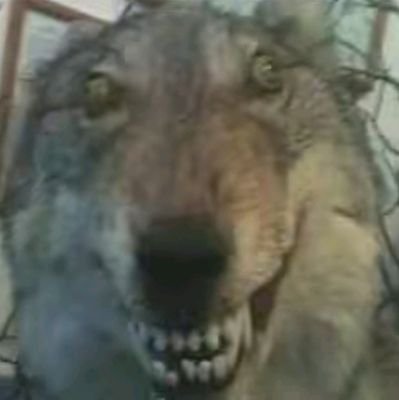 NSkeleton2's profile picture. 