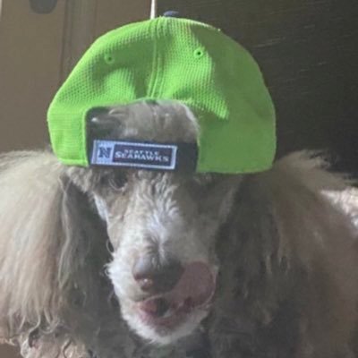 uncle_bob_rocks's profile picture. Keep your lamps full