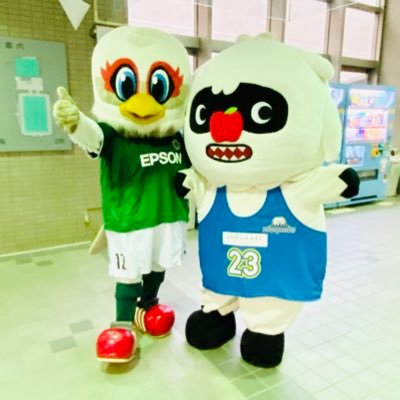 松本山雅FC/信州ブレイブウォリアーズ/信州松本ダイナブラックスを応援しています/スポーツ観戦やライブも好きです/無言フォロー失礼します