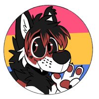 THAT MF CAT (@thatcatjet) 's Twitter Profile