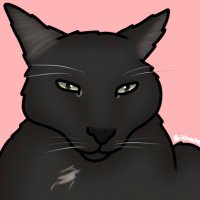 Primcess Boudi (@hrhboudicat) 's Twitter Profile