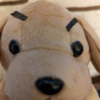 へらぶなのじん (@swfvqjetdc39747) 's Twitter Profile