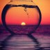 Fatma (@_fa997) Twitter profile photo Fatma (@_fa997) Twitter profile photo