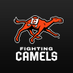 Campbell Athletics (@GoCamels) Twitter profile photo