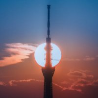 タカタカ (@t858687) 's Twitter Profile