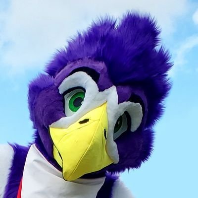 Big purple bird! 💜 • Bird photography 📷🦅 • YouTube 📹 • Artist 🎨 • Software Engineer 💻 • From 🇫🇮 in 🇺🇸 • Suit by @ThatsFurredUp • they/them