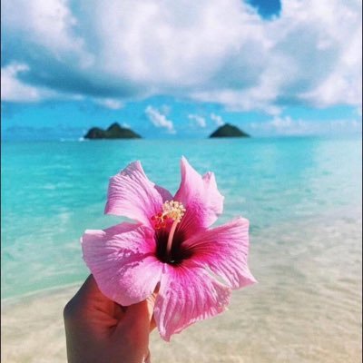 LovemyFLGov's profile picture. Floridian🌴 DeSantis2028 ❤️ Pro-Life  No DMs please
