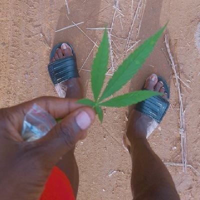Chemical engineer//Stoner//Naughty paper chaser
💯🤞
sun is gonna shine on everthing we do