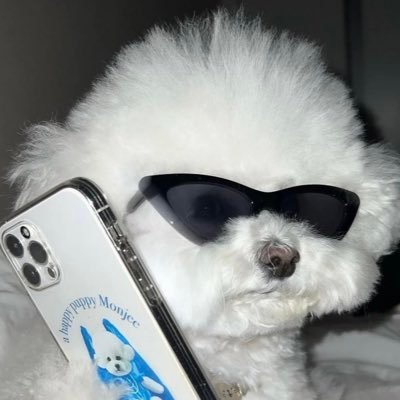첼이가 호동할때