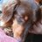 27rncn's profile image