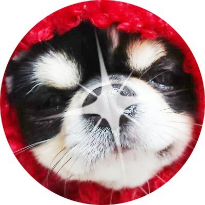 vturaifu's profile picture. ホロメンイラストがメインです。宜しければアイコンなどにも活用してもらえると、嬉しいです。
また、YouTubeではMVや歌枠切抜なども作ってます。
YouTube: https://t.co/m926tY7xP8
※フォローしていただいた方へ。ありがとうございます。