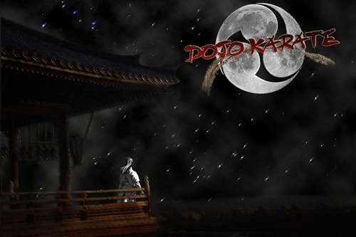 DojoKarate1's profile picture. 