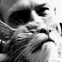 Lupo ❎ 🇩🇪 🥦 (@lupometakater) 's Twitter Profile Photo Lupo ❎ 🇩🇪 🥦 (@lupometakater) 's Twitter Profile Photo