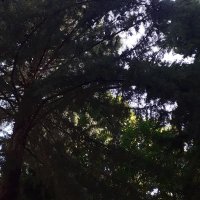 🌻🌻 (@2cicegi) 's Twitter Profile