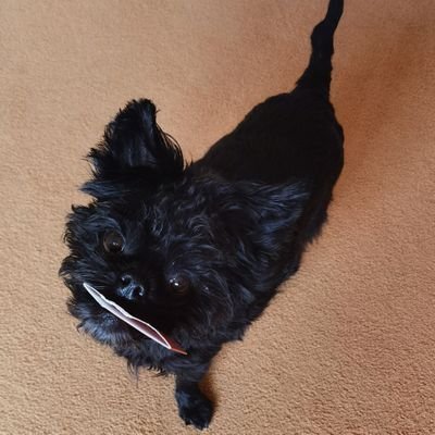 Heinz54728477's profile picture.