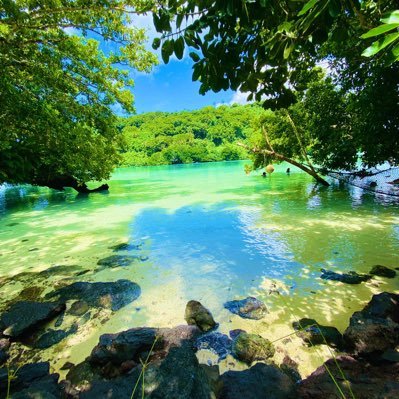 Joseph66137629's profile picture. 