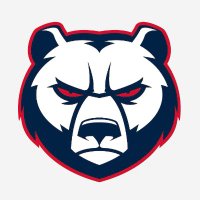 #Hauptstadteishockey (@eisbaerennerds) Twitter profile photo