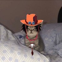 seabass (@dustydick69) 's Twitter Profile