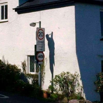 shu1487250's profile picture. 